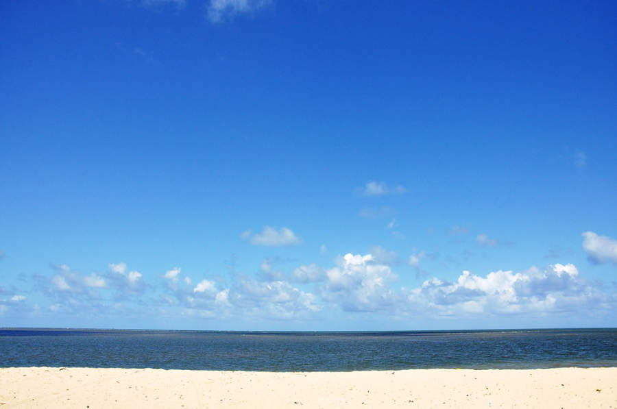 Vive la experiencia en Paulista Un viaje inolvidable Tiquetes Baratos