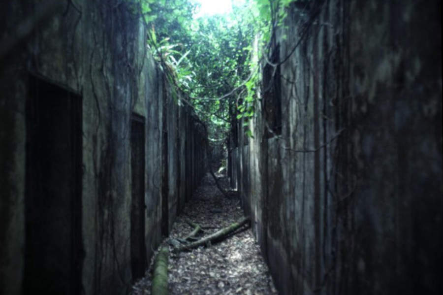 Aventúrate en Isla del Diablo (y alrededores): Explora y descubre