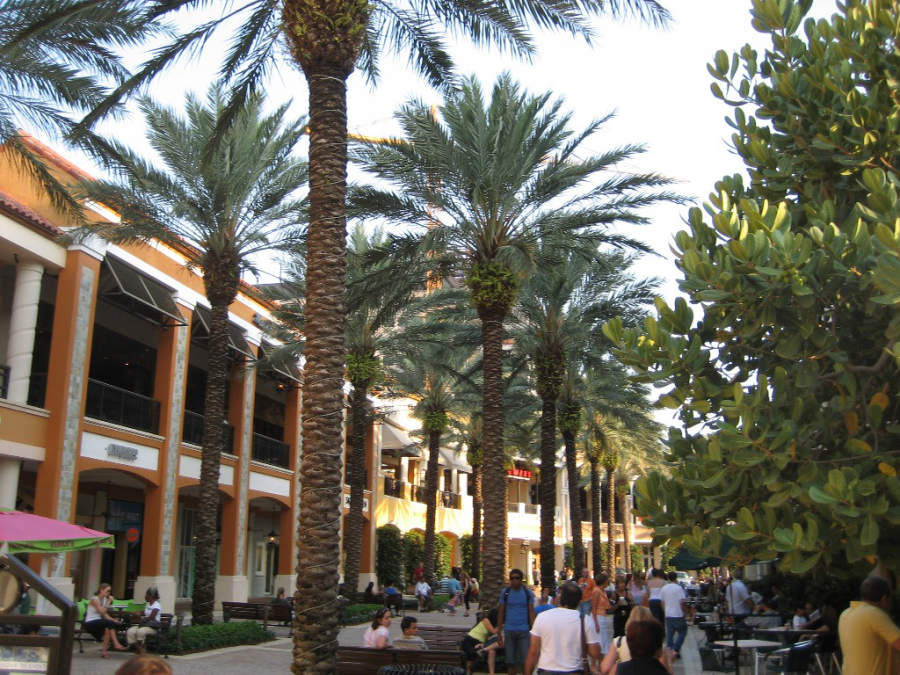Get Imagenes de palm beach For Android